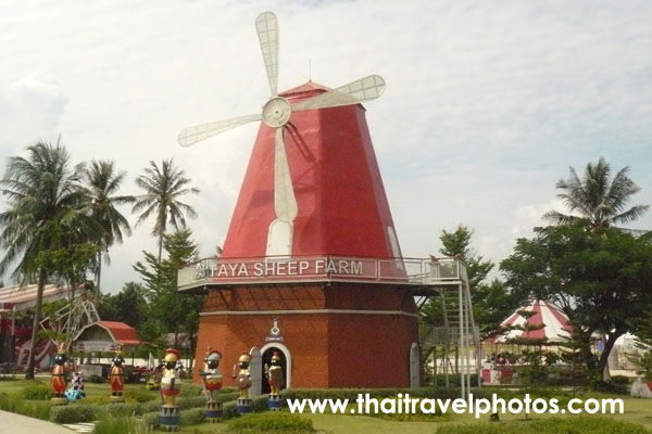 Pattaya Sheep Farm ( ฟาร์มแกะพัทยา )