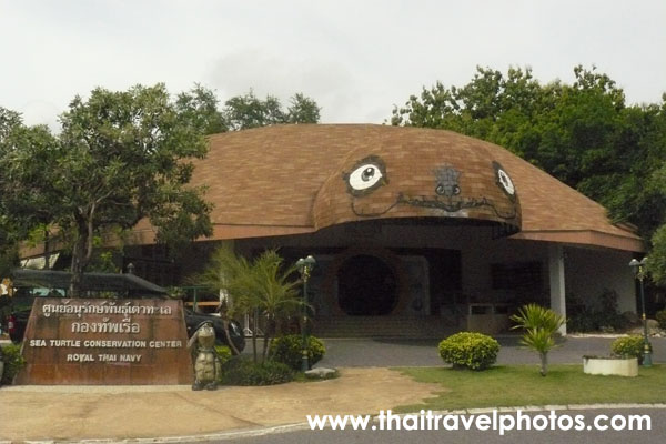 ศูนย์อนุรักษ์พันธุ์เต่าทะเลกองทัพเรือ