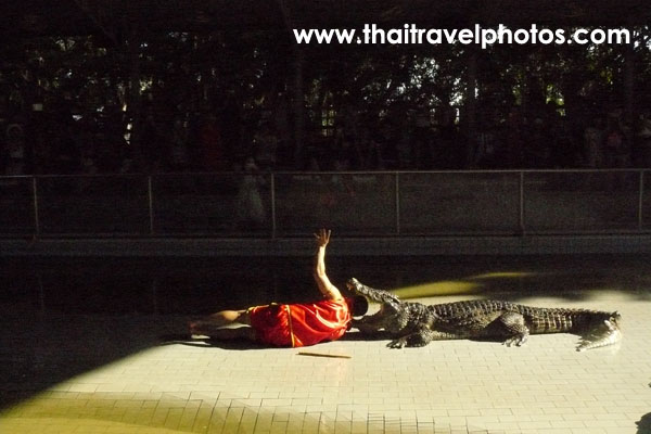 อุทยานหินล้านปี และ ฟาร์มจระเข้