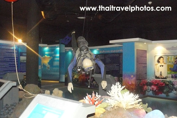 พิพิธภัณฑ์ธรรมชาติหมู่เกาะทะเลไทย