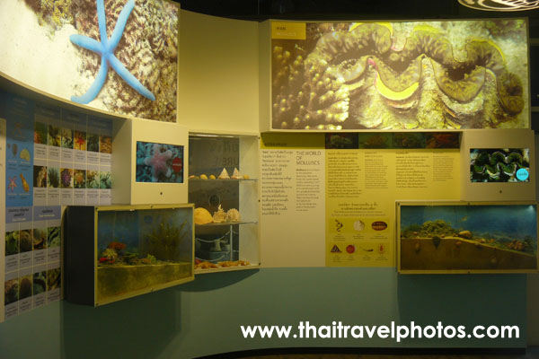 พิพิธภัณฑ์ธรรมชาติหมู่เกาะทะเลไทย